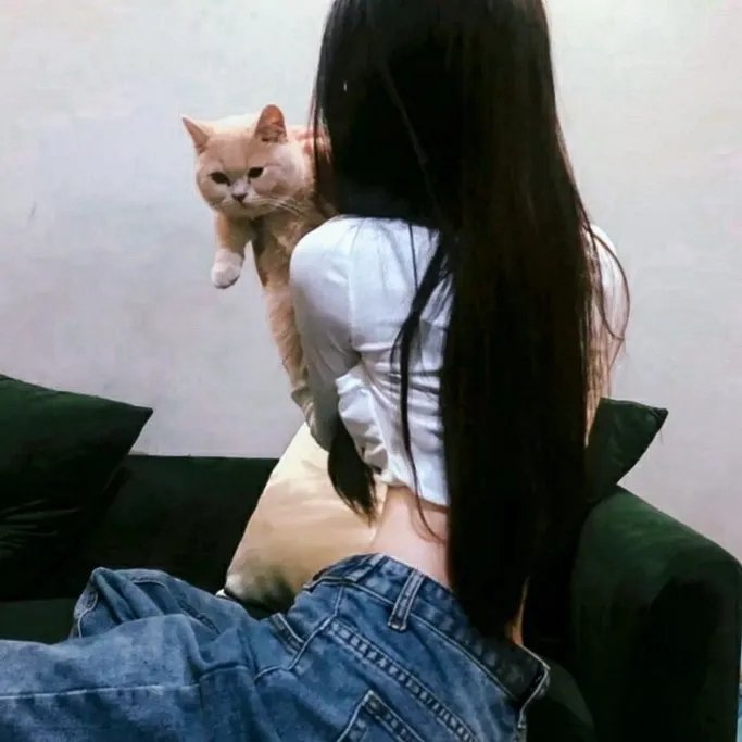 纸牌屋第二季